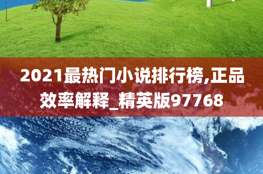 2021最热门小说排行榜,正品效率解释_精英版97768