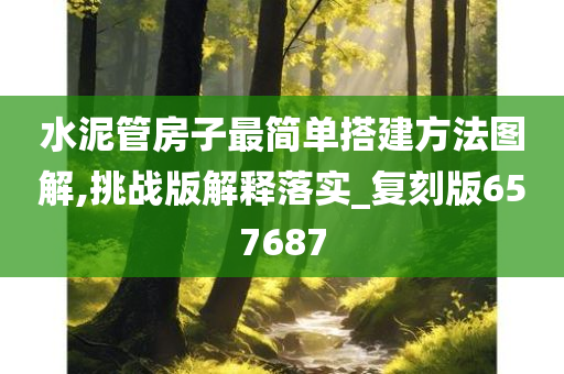 水泥管房子最简单搭建方法图解,挑战版解释落实_复刻版657687