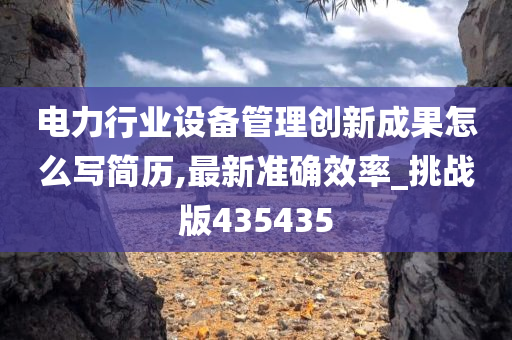 电力行业设备管理创新成果怎么写简历,最新准确效率_挑战版435435