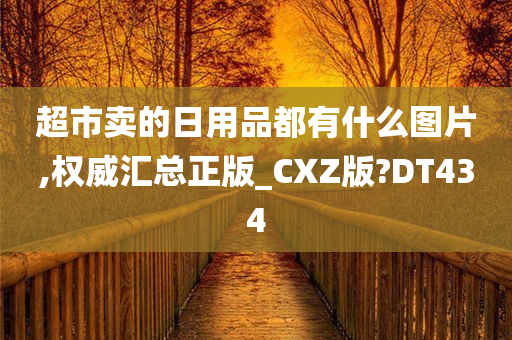 超市卖的日用品都有什么图片,权威汇总正版_CXZ版?DT434