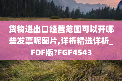 货物进出口经营范围可以开哪些发票呢图片,详析精选详析_FDF版?FGF4543