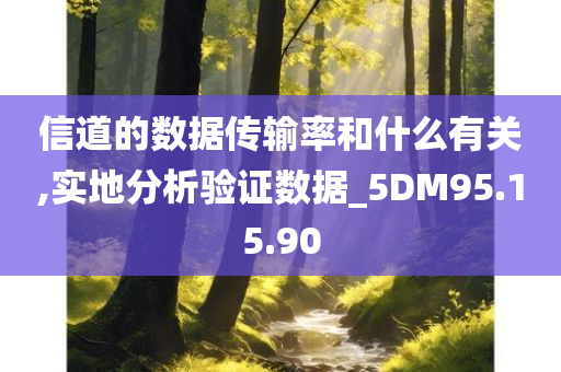 信道的数据传输率和什么有关,实地分析验证数据_5DM95.15.90