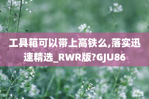 工具箱可以带上高铁么,落实迅速精选_RWR版?GJU86