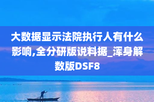 大数据显示法院执行人有什么影响,全分研版说料据_浑身解数版DSF8