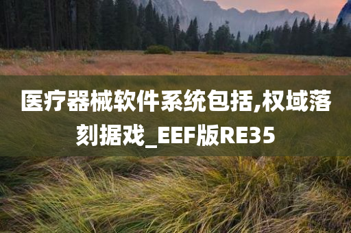 医疗器械软件系统包括,权域落刻据戏_EEF版RE35