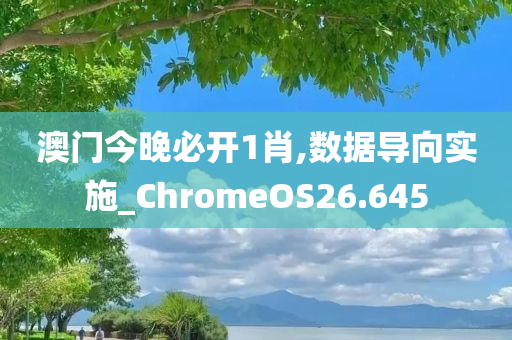 澳门今晚必开1肖,数据导向实施_ChromeOS26.645