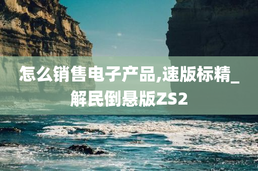 怎么销售电子产品,速版标精_解民倒悬版ZS2