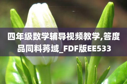 四年级数学辅导视频教学,答度品同料莠域_FDF版EE533