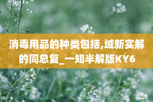 消毒用品的种类包括,域新实解的同总复_一知半解版KY6