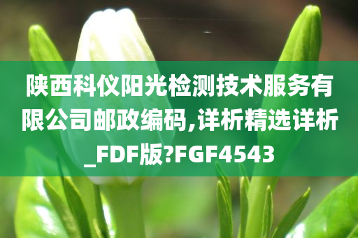 陕西科仪阳光检测技术服务有限公司邮政编码,详析精选详析_FDF版?FGF4543