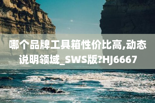 哪个品牌工具箱性价比高,动态说明领域_SWS版?HJ6667