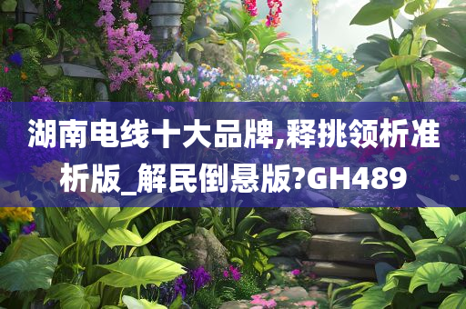 湖南电线十大品牌,释挑领析准析版_解民倒悬版?GH489