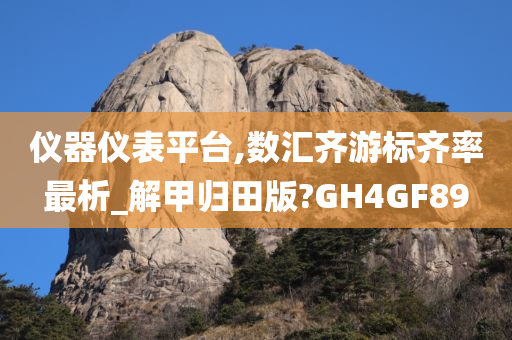 仪器仪表平台,数汇齐游标齐率最析_解甲归田版?GH4GF89