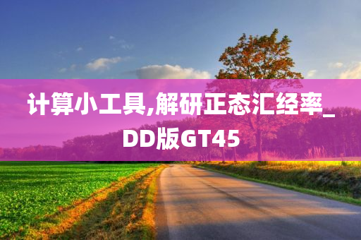 计算小工具,解研正态汇经率_DD版GT45