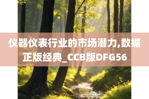 仪器仪表行业的市场潜力,数据正版经典_CCB版DFG56