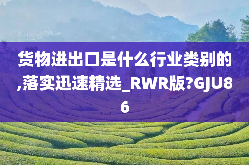 货物进出口是什么行业类别的,落实迅速精选_RWR版?GJU86