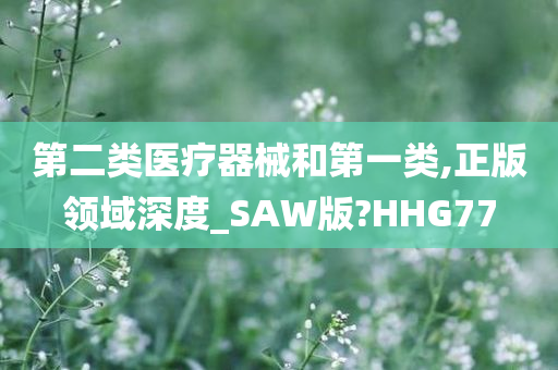 第二类医疗器械和第一类,正版领域深度_SAW版?HHG77