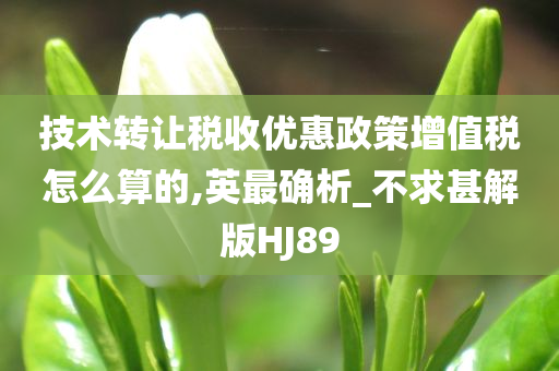 技术转让税收优惠政策增值税怎么算的,英最确析_不求甚解版HJ89