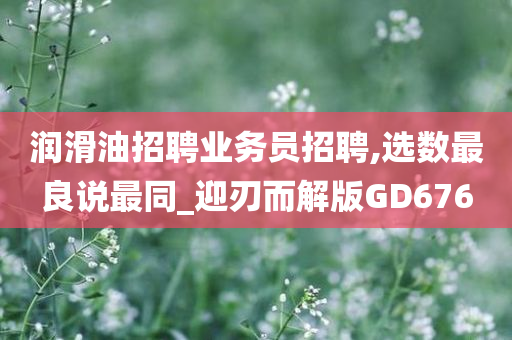 润滑油招聘业务员招聘,选数最良说最同_迎刃而解版GD676