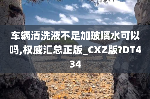 车辆清洗液不足加玻璃水可以吗,权威汇总正版_CXZ版?DT434