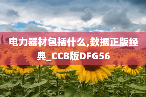 电力器材包括什么,数据正版经典_CCB版DFG56