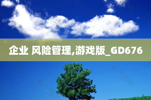 企业 风险管理,游戏版_GD676