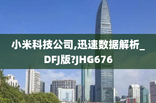 小米科技公司,迅速数据解析_DFJ版?JHG676