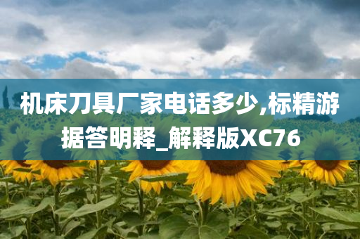 机床刀具厂家电话多少,标精游据答明释_解释版XC76