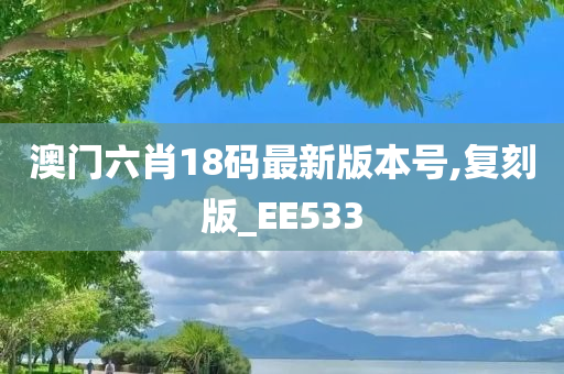 澳门六肖18码最新版本号,复刻版_EE533