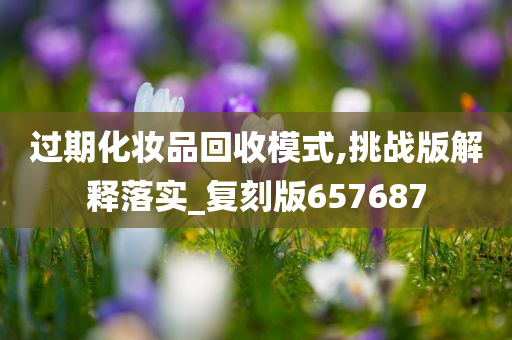 过期化妆品回收模式,挑战版解释落实_复刻版657687