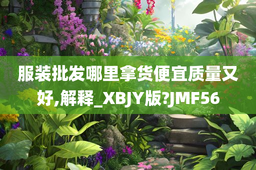 服装批发哪里拿货便宜质量又好,解释_XBJY版?JMF56