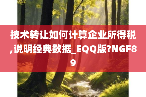 技术转让如何计算企业所得税,说明经典数据_EQQ版?NGF89