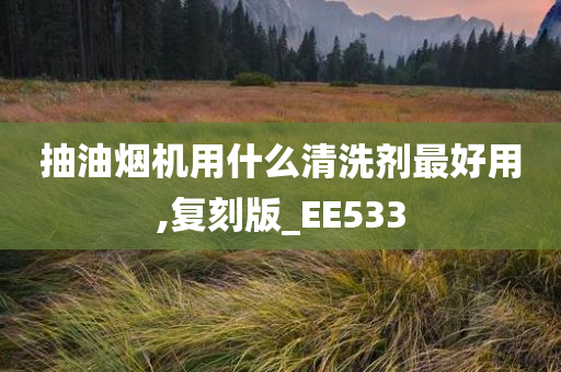 抽油烟机用什么清洗剂最好用,复刻版_EE533