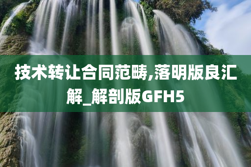 技术转让合同范畴,落明版良汇解_解剖版GFH5