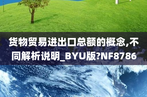 货物贸易进出口总额的概念,不同解析说明_BYU版?NF8786