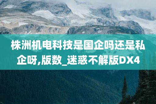 株洲机电科技是国企吗还是私企呀,版数_迷惑不解版DX4