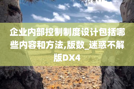 企业内部控制制度设计包括哪些内容和方法,版数_迷惑不解版DX4