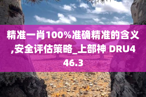 精准一肖100%准确精准的含义,安全评估策略_上部神 DRU446.3