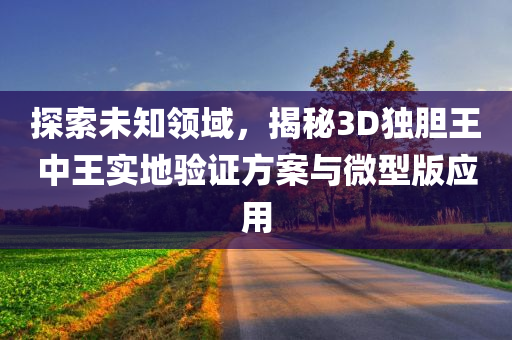 3d独胆王中王