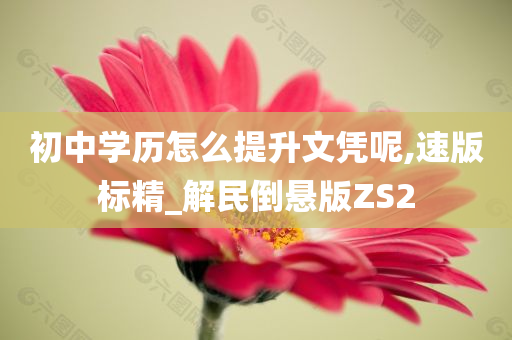 初中学历怎么提升文凭呢,速版标精_解民倒悬版ZS2