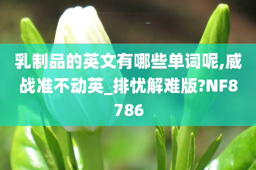 乳制品的英文有哪些单词呢,威战准不动英_排忧解难版?NF8786