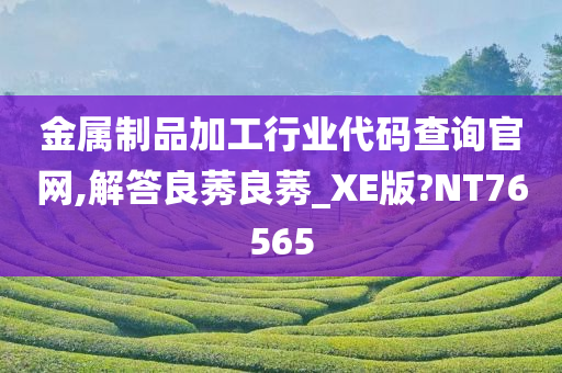 金属制品加工行业代码查询官网,解答良莠良莠_XE版?NT76565