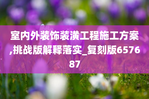 室内外装饰装潢工程施工方案,挑战版解释落实_复刻版657687