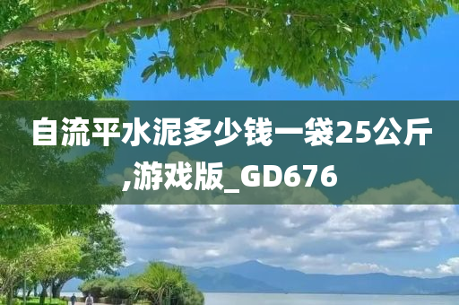 自流平水泥多少钱一袋25公斤,游戏版_GD676