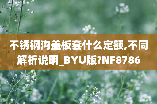 不锈钢沟盖板套什么定额,不同解析说明_BYU版?NF8786