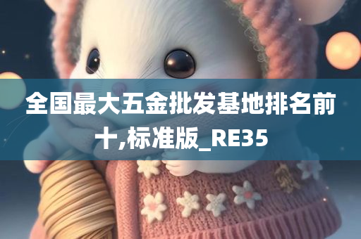 全国最大五金批发基地排名前十,标准版_RE35