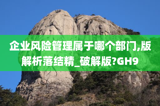 企业风险管理属于哪个部门,版解析落结精_破解版?GH9