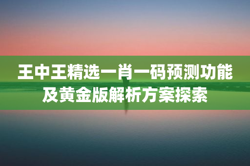 王中王精选一肖一码预测功能及黄金版解析方案探索