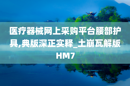 医疗器械网上采购平台腰部护具,典版深正实释_土崩瓦解版HM7