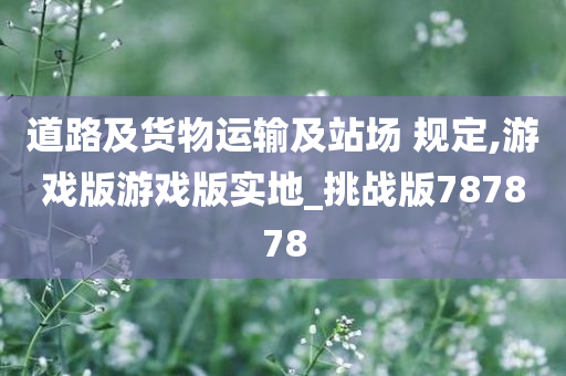 道路及货物运输及站场 规定,游戏版游戏版实地_挑战版787878